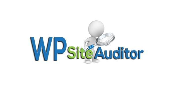 افزونه WP Site Auditor Premium