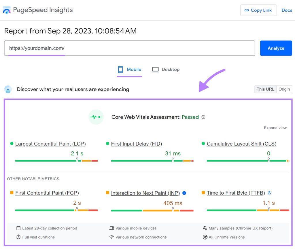 تصویر گزارش ارزیابی Core Web Vitals از PageSpeed Insights